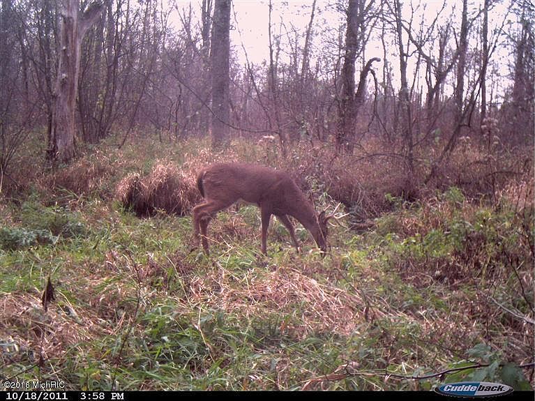1st image of 17530 Tisdel Ave