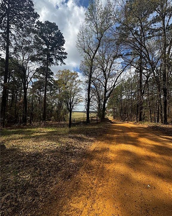 2nd image of Old River Rd