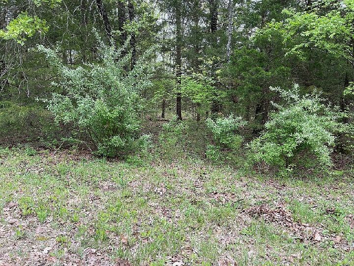 2nd image of 807 Moonstone Blvd