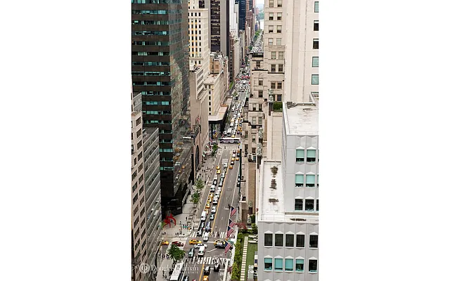 Sold by Douglas Elliman | media 6