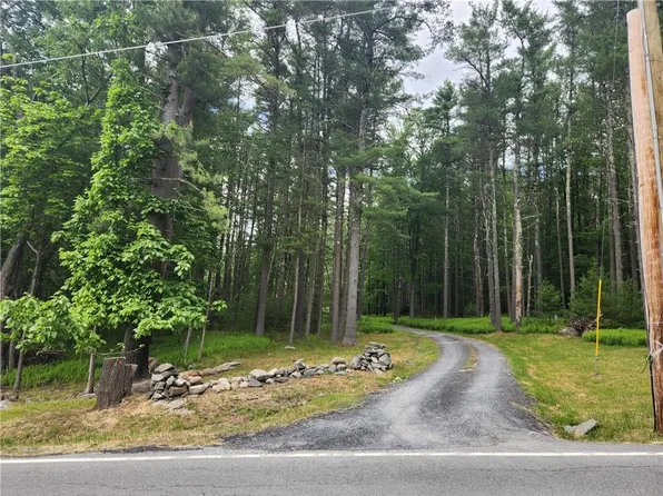 49 Proctor Road, Eldred, NY 12732