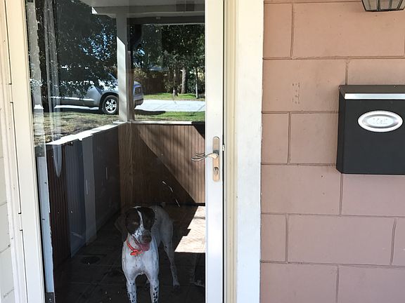 Elle says please rent our house !