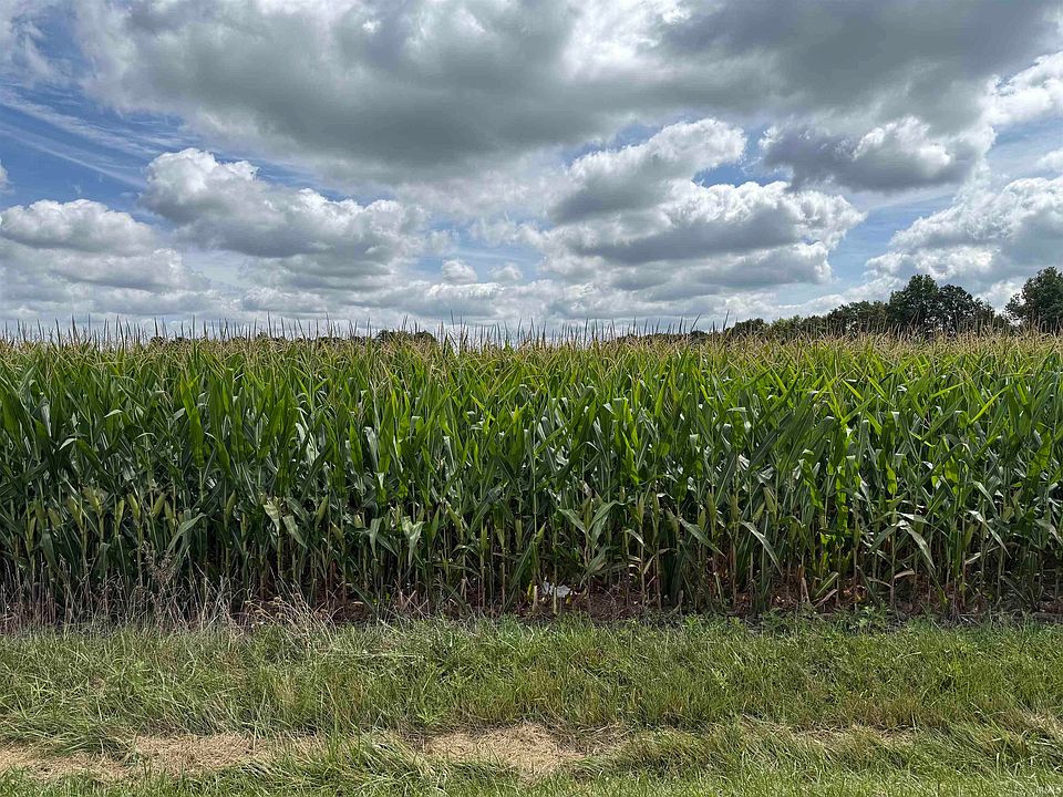 2nd image of N 300 East Rd