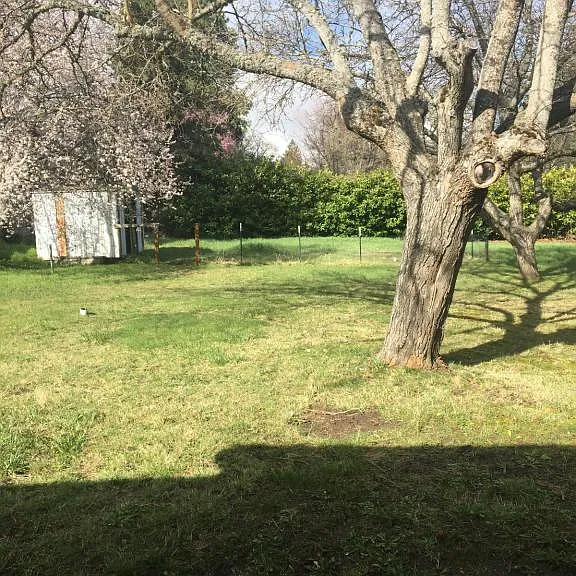 875 Park St — Photo 2