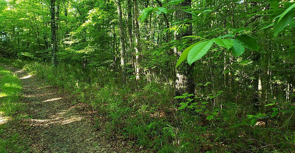 2nd image of 0 Davis Ln