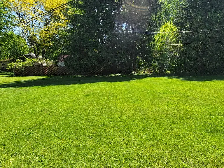 Back yard view from unit