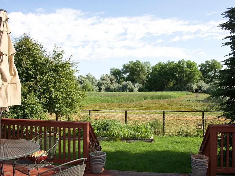 Wildlife area view