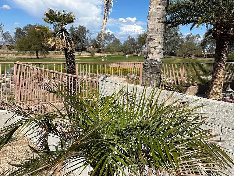 Backyard view