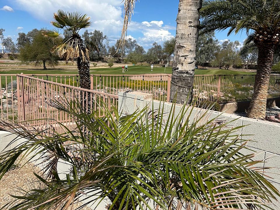 Backyard view