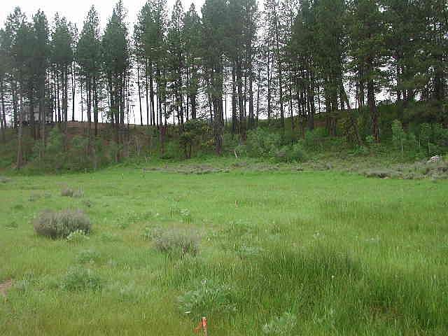 1st image of Tracts 9 13 Canyon Creek Rd