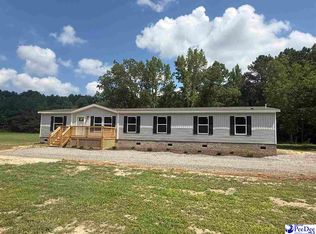 2707 Ballpark Rd, Effingham, SC 29541