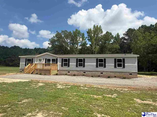 2707 Ballpark Rd, Effingham, SC 29541