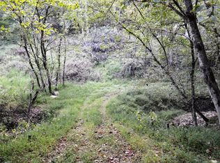 626 Wolf Pen Run Rd, Copen, WV 26615