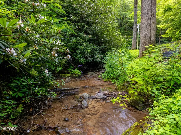 Butler Branch Rd, Gatlinburg, TN 37738