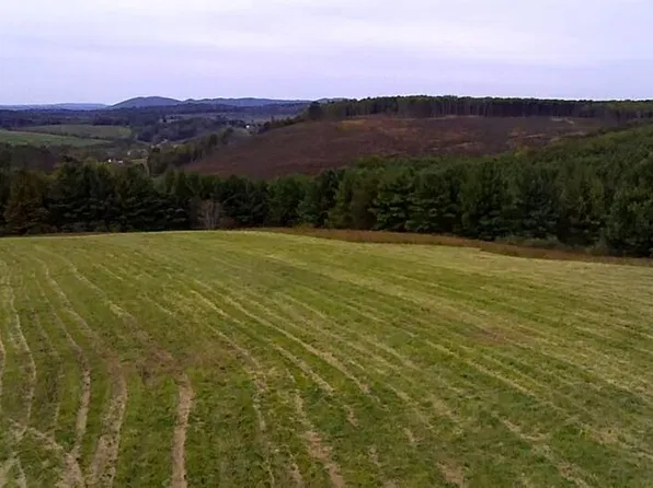 (undisclosed Address), Austinville, VA 24312