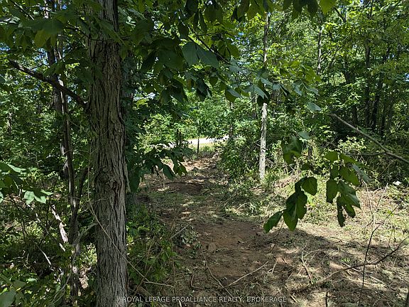 3rd image of 2622 4th Concession Rd