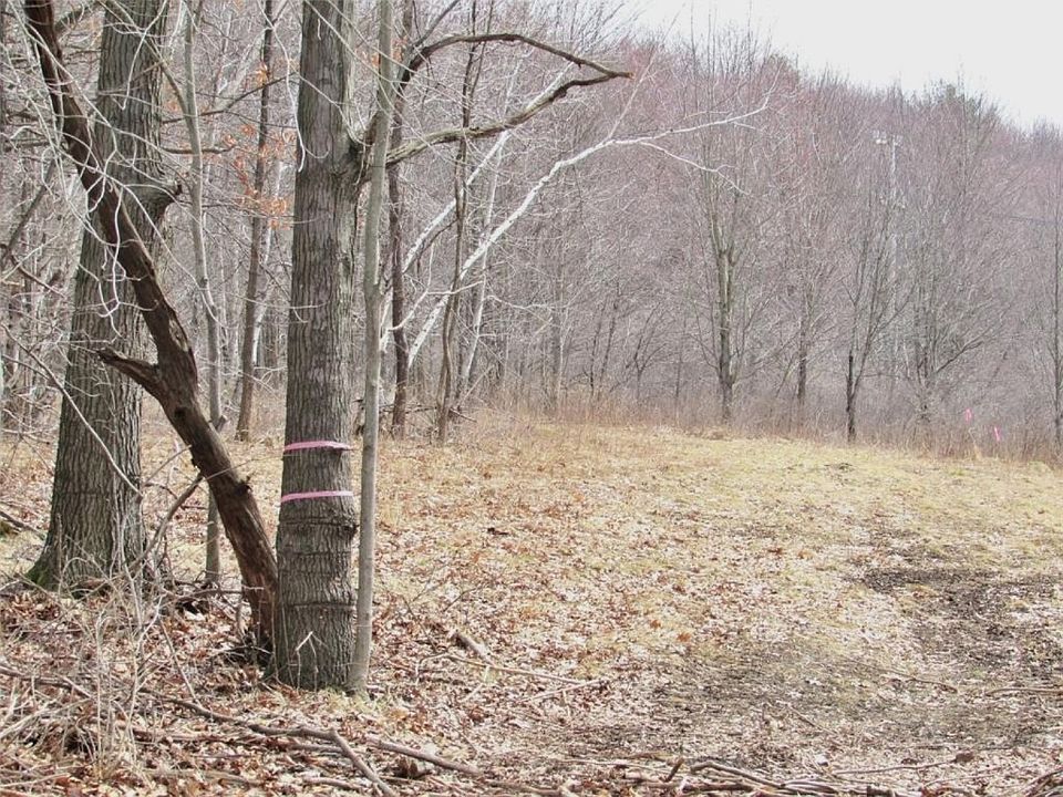2nd image of 39 Forest St
