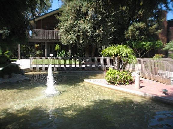 Ponds All Over the Complex