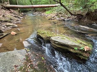 5 Mount Springer Rd, Ellijay, GA 30540