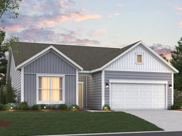 Savannah Plan, Somerset