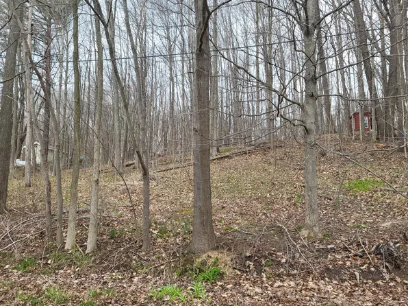 V/l 46 E Peterson, Gobles, MI 49055