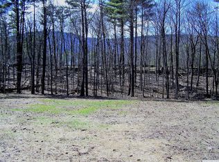 0 Maple Grove Rd, Palenville, NY 12463