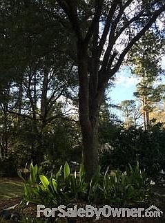 5th image of 163 Belle Terre Blvd
