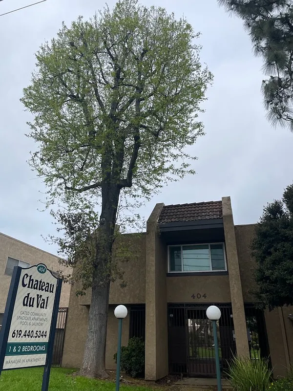 1 bed, $1,795 — Photo 1