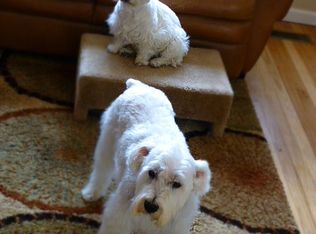 718 Yori Ave, Reno, NV 89502