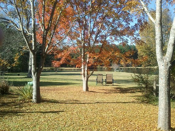 Beautiful backyard with pond