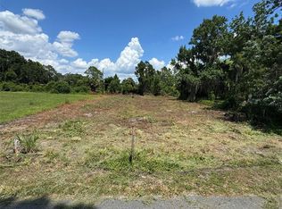 Cove Rd LOT 1, Tavares, FL 32778
