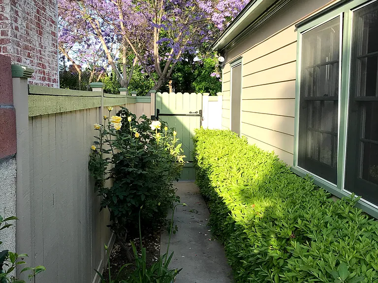 Side yard