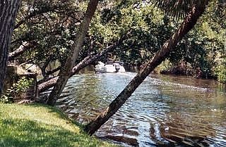 2nd image of 130 Cocohatchee Blvd
