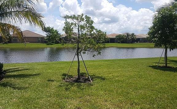 2nd image of 3474 Pacific Dr