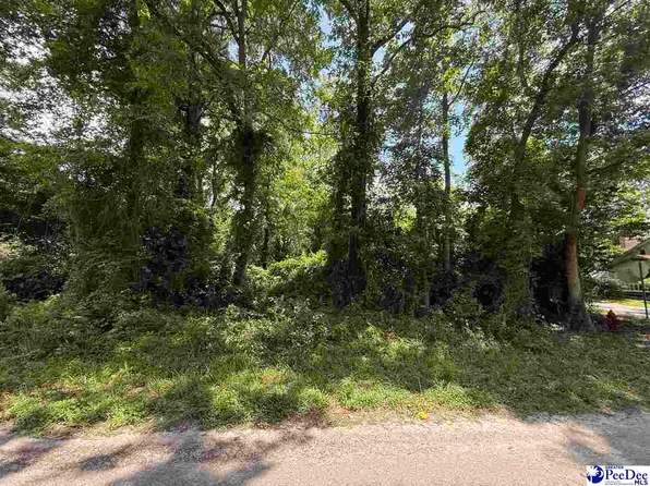 Elm St, Johnsonville, SC 29555