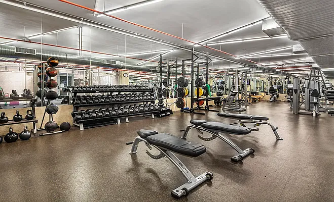 Rented by NY Living Solutions | media 23