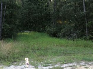 Williams Hill Rd, Hemingway, SC 29554