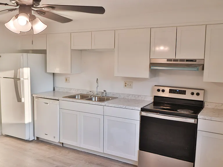 Fully Renovated Kitchen _ Features all-new cabinetry, with new cabinet handles to be installed, a brand-new stainless steel dishwasher on the way, and a refrigerator purchased within the past year.