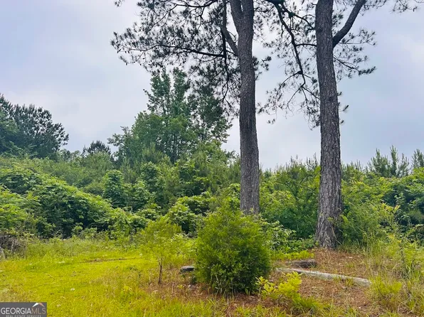 2485 Mitchellville Rd, Ohatchee, AL 36271