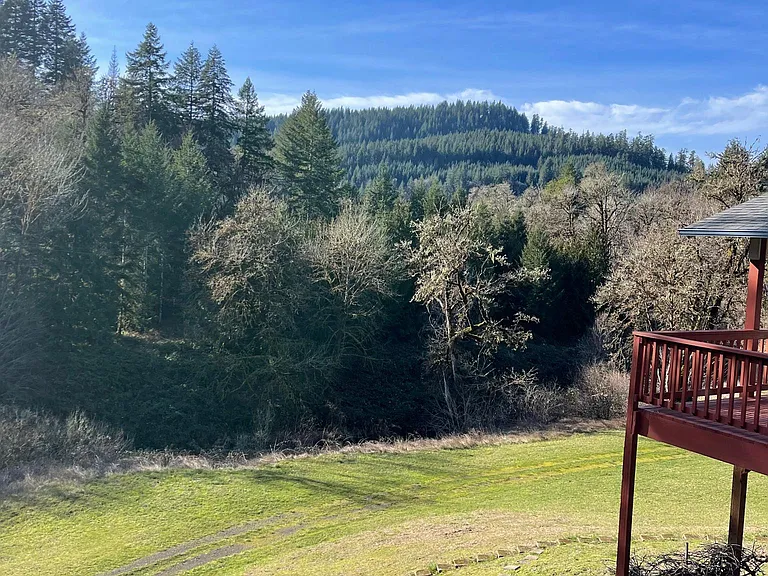 561 Paradise Creek Rd — Photo 13