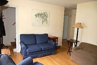 Nice-sized, light living room with hardwood floors