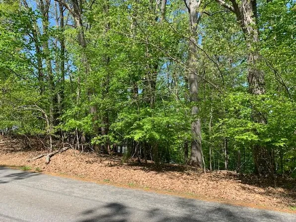 25 Long Island Dr, Moneta, VA 24121
