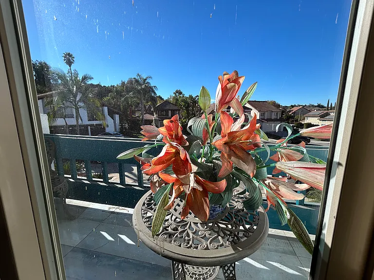 34 Mesa Ridge Dr — Photo 43