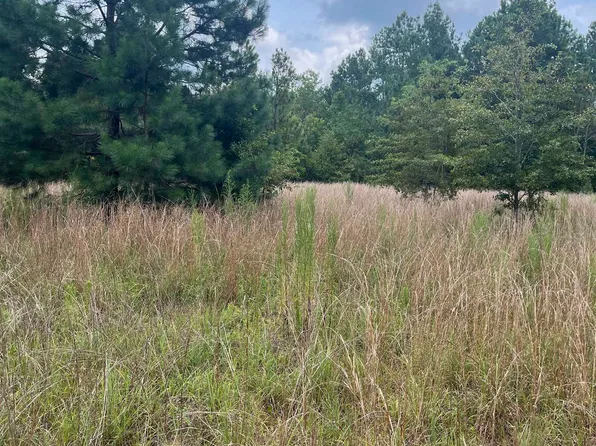 Bhl 8 Boise Cascade Rd #Bhl-8, Bethune, SC 29009