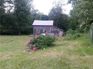 115 Clarendon St, Albion, NY 14411