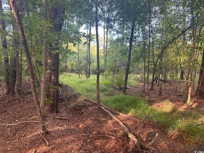 TBD Godwin Prince Ct Lot E-4, Loris, SC, 29569