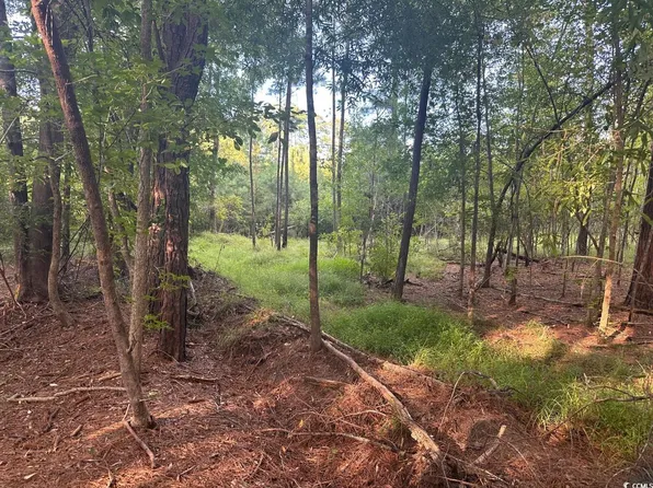 TBD Godwin Prince Ct Lot E-4, Loris, SC 29569
