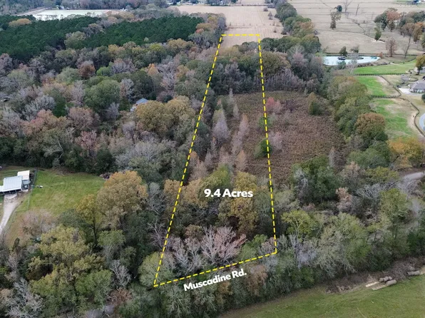 Muscadine Rd, Sunset, LA 70584