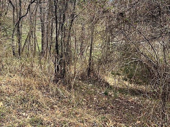 2nd image of Rose Hill Dr