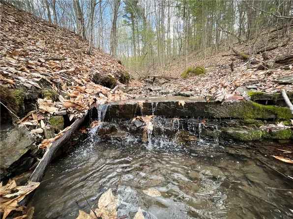 W Creek Rd Lot 2, Richford, NY 13835